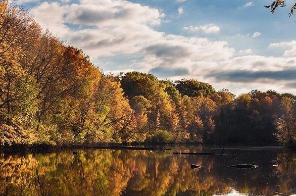 A scenic view of The Coves with various trees along the Thames River, in the fall season, located in London, Ontario