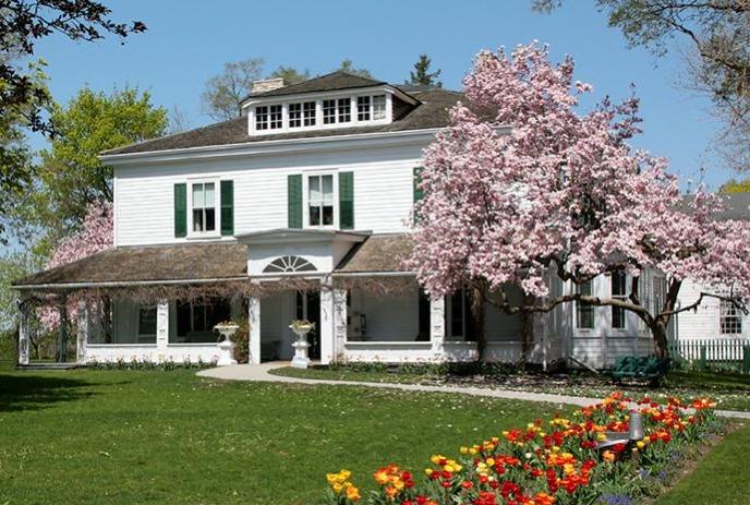 Eldon House from the outside on a sunny day, with flowers outside on the garden, and a cherry blossom tree to the side.