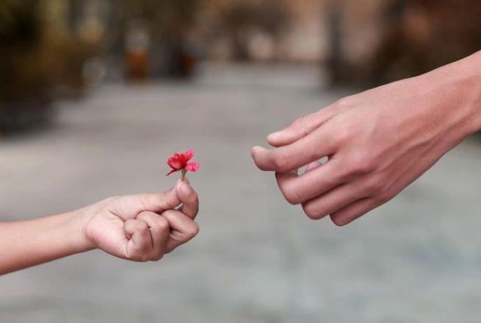 Child's hand holding a small red flower to an adult's hand.