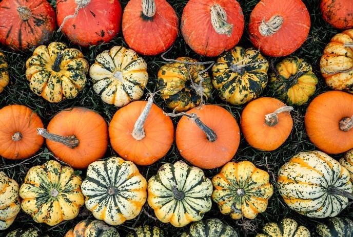 An assortment of different coloured pumpkins from above.