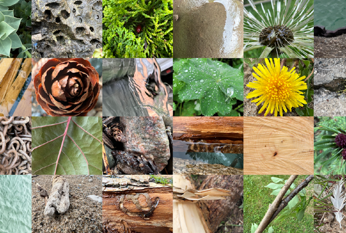 A collage of 25 close-up images of natural elements like leaves, flowers, wood, and water.