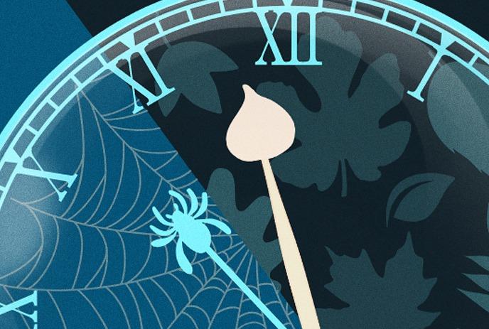 A clock with Roman numerals, a spider web, and leaves in the background.