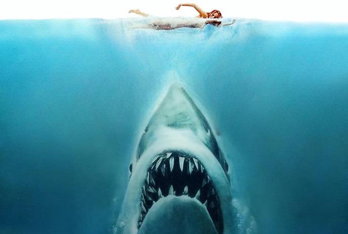 A large shark swims underwater, facing upwards towards a swimmer on the surface, creating a dramatic scene.