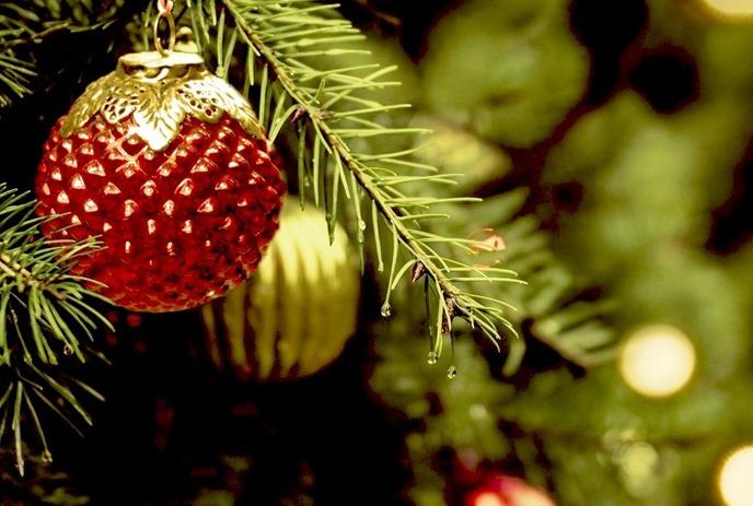 Red ornament on a Christmas tree with blurred lights in the background, creating a festive holiday atmosphere.