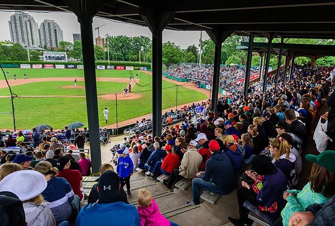 A large crowd gathered to watch the baseball team the London Majors at Labatt Memorial Park in London, Ontario