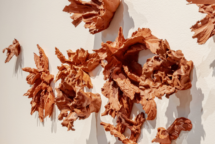 Intricate, organic clay sculptures mounted on a white wall, casting shadows that enhance their textured forms.