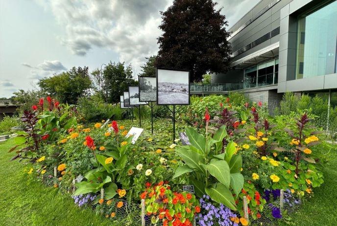 Vibrant garden with flowers, plants, and photo displays in front of a modern building under a cloudy sky.