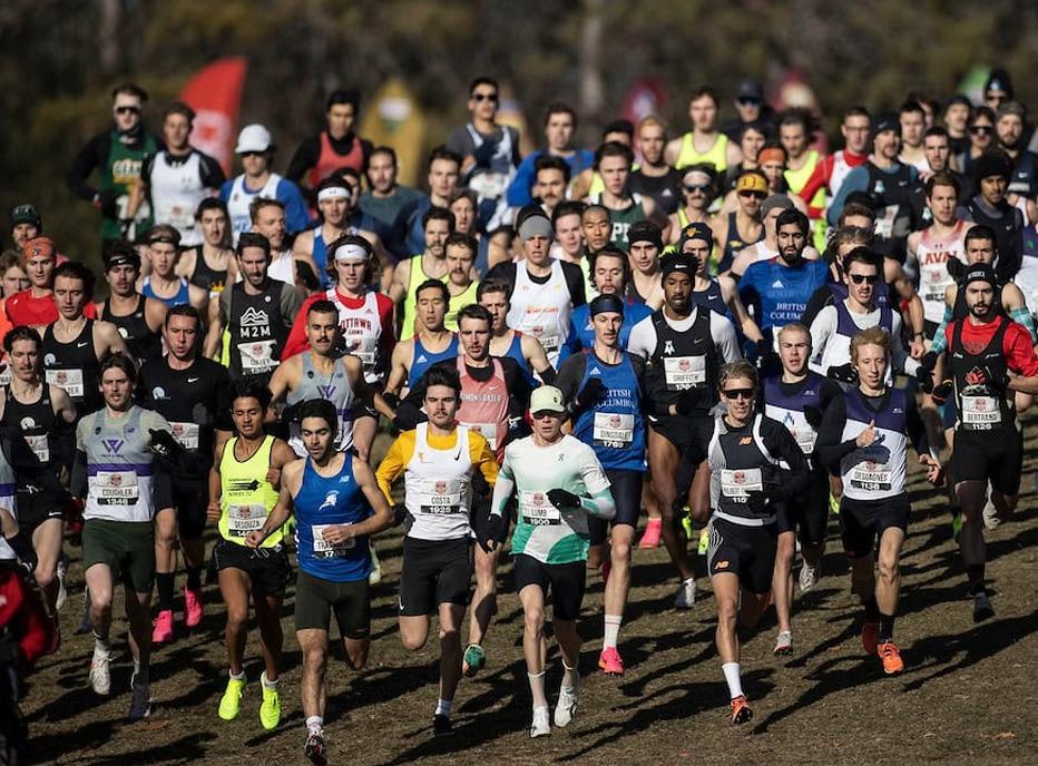 A large group of people participating in a  Cross Country running race