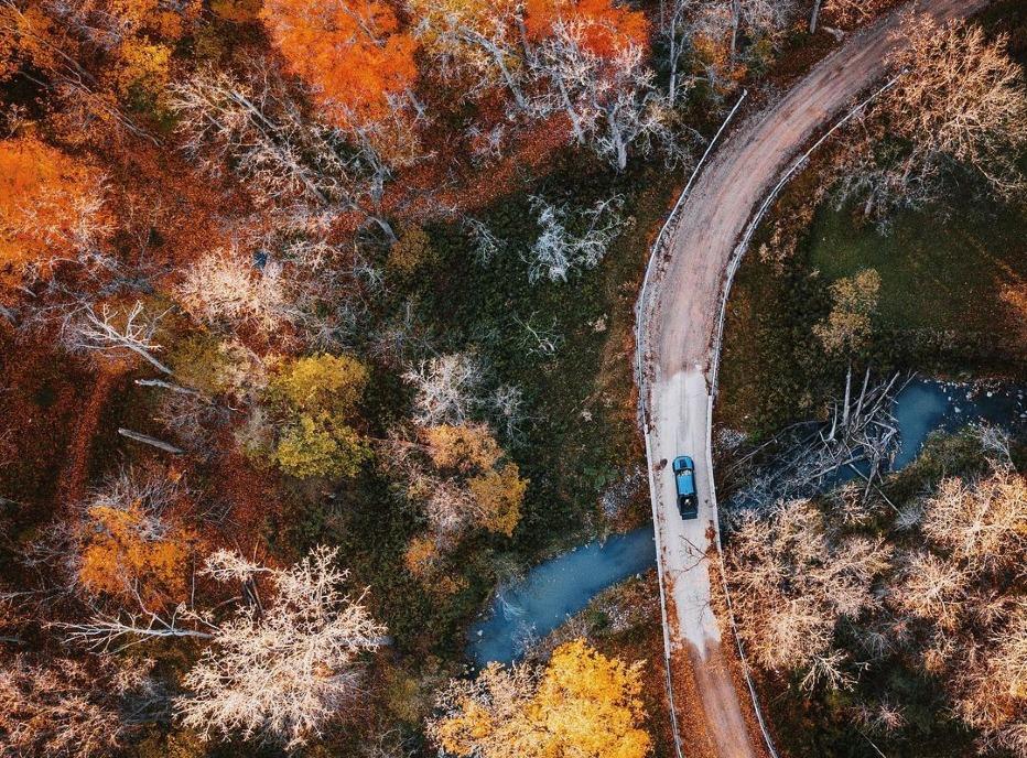 An aerial view of a car driving on a winding road surrounded by trees in the fall